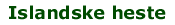 Islandske heste